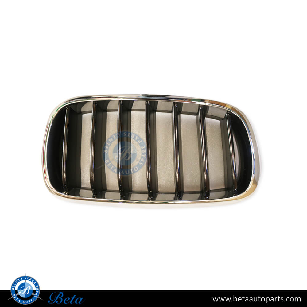 Right Side Radiator Grille - Black and Chrome for BMW X6 F16 2015-2018 models, Part Number 51137373690 Right Side Radiator Grille - Black and Chrome for BMW X6 F16 2015-2018 models, Part Number 51137373690